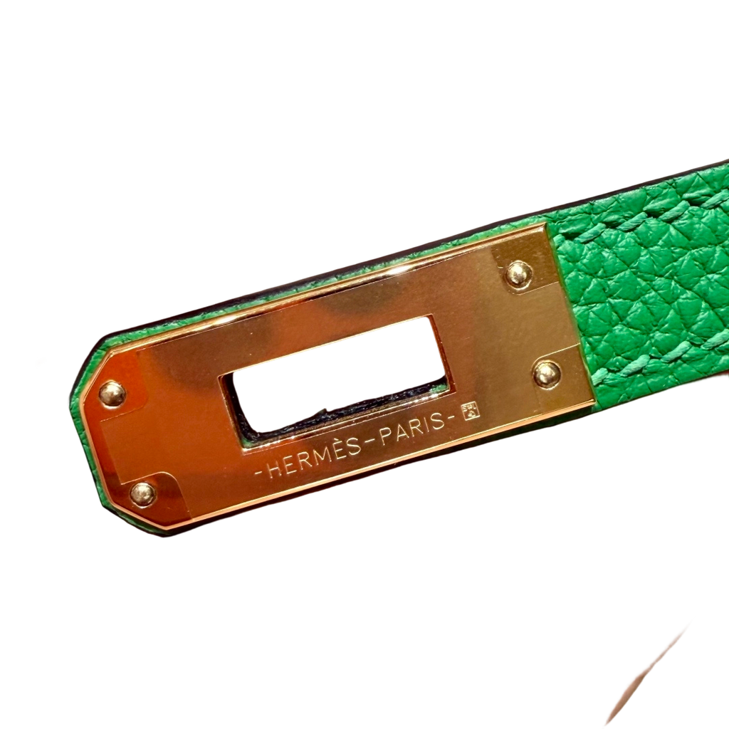 Birkin  Togo – Bamboo Green | Gold-Plated