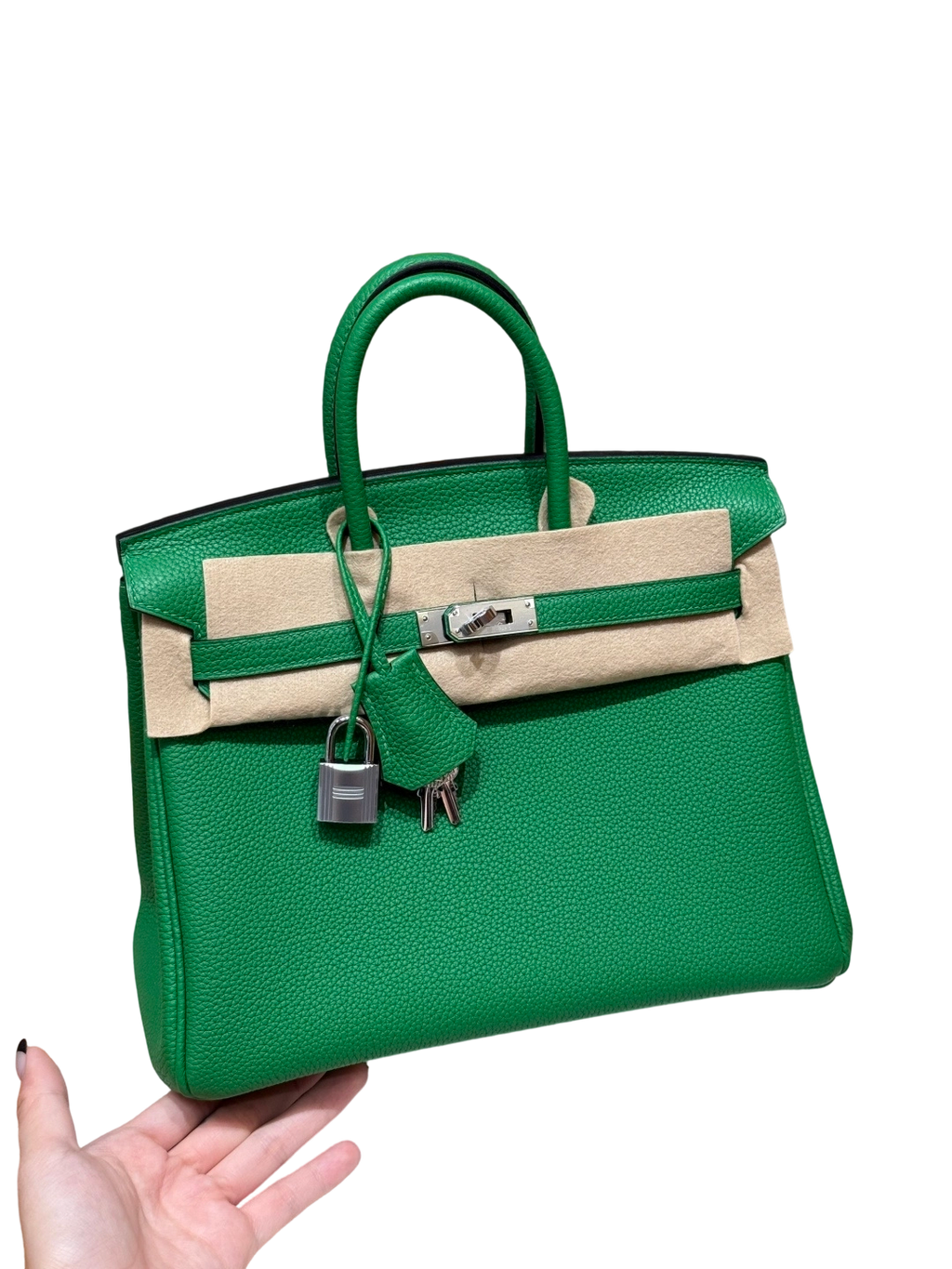 Birkin  Togo – Bamboo Green | Palladium
