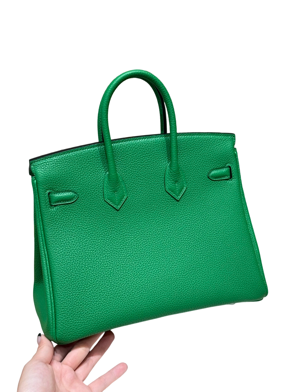 Birkin  Togo – Bamboo Green | Palladium