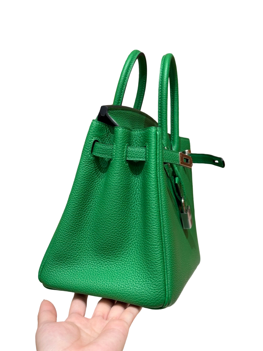 Birkin  Togo – Bamboo Green | Palladium