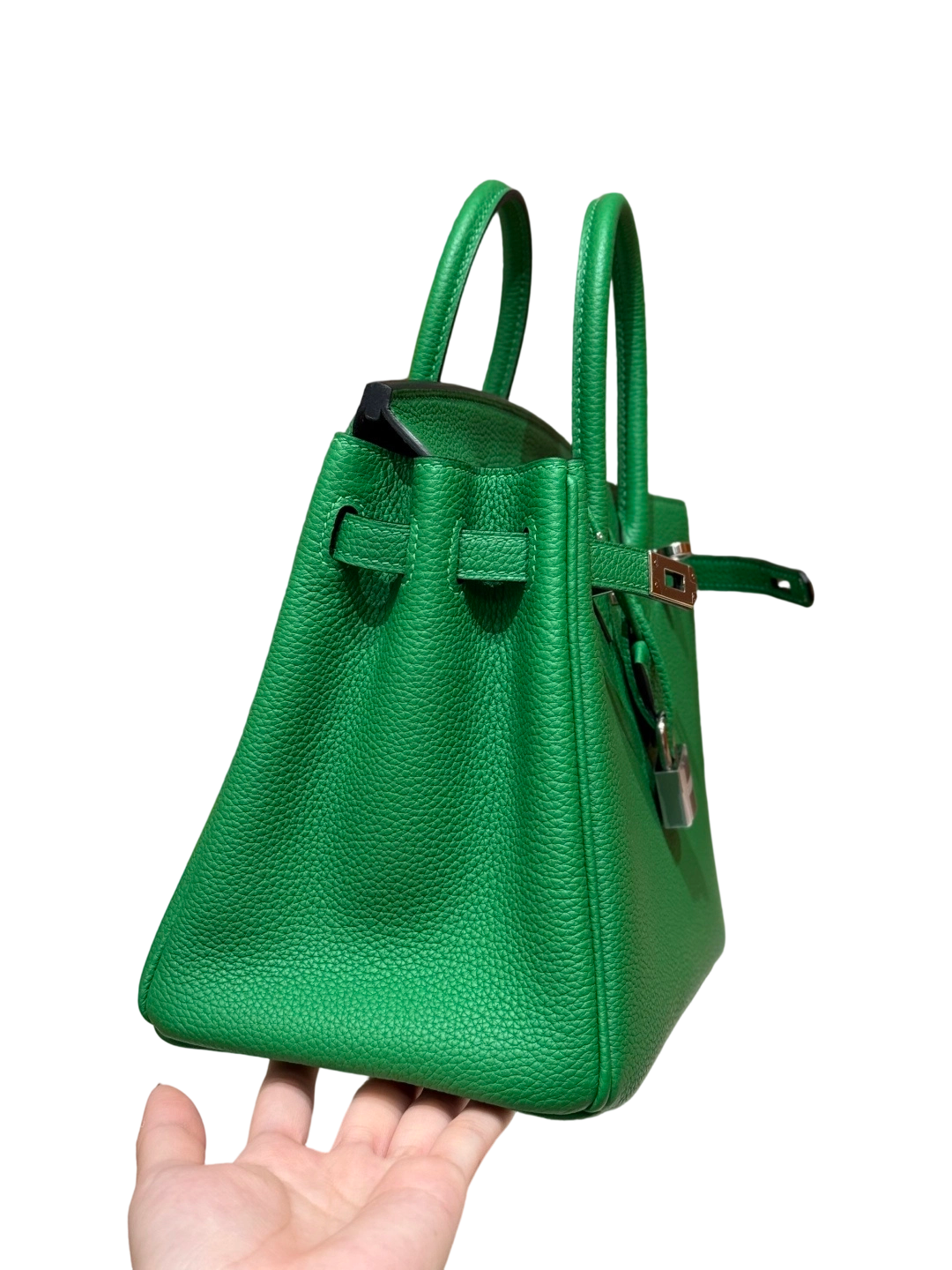 Birkin  Togo – Bamboo Green | Palladium