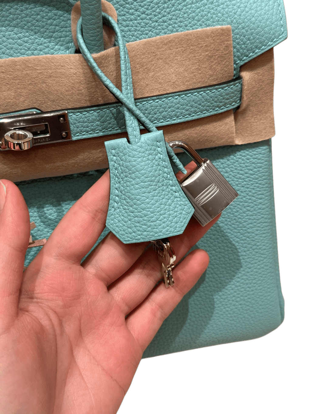 Birkin  Togo – Bleu Atoll| Palladium