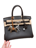 Birkin  Togo – Chocolate Brown | Palladium