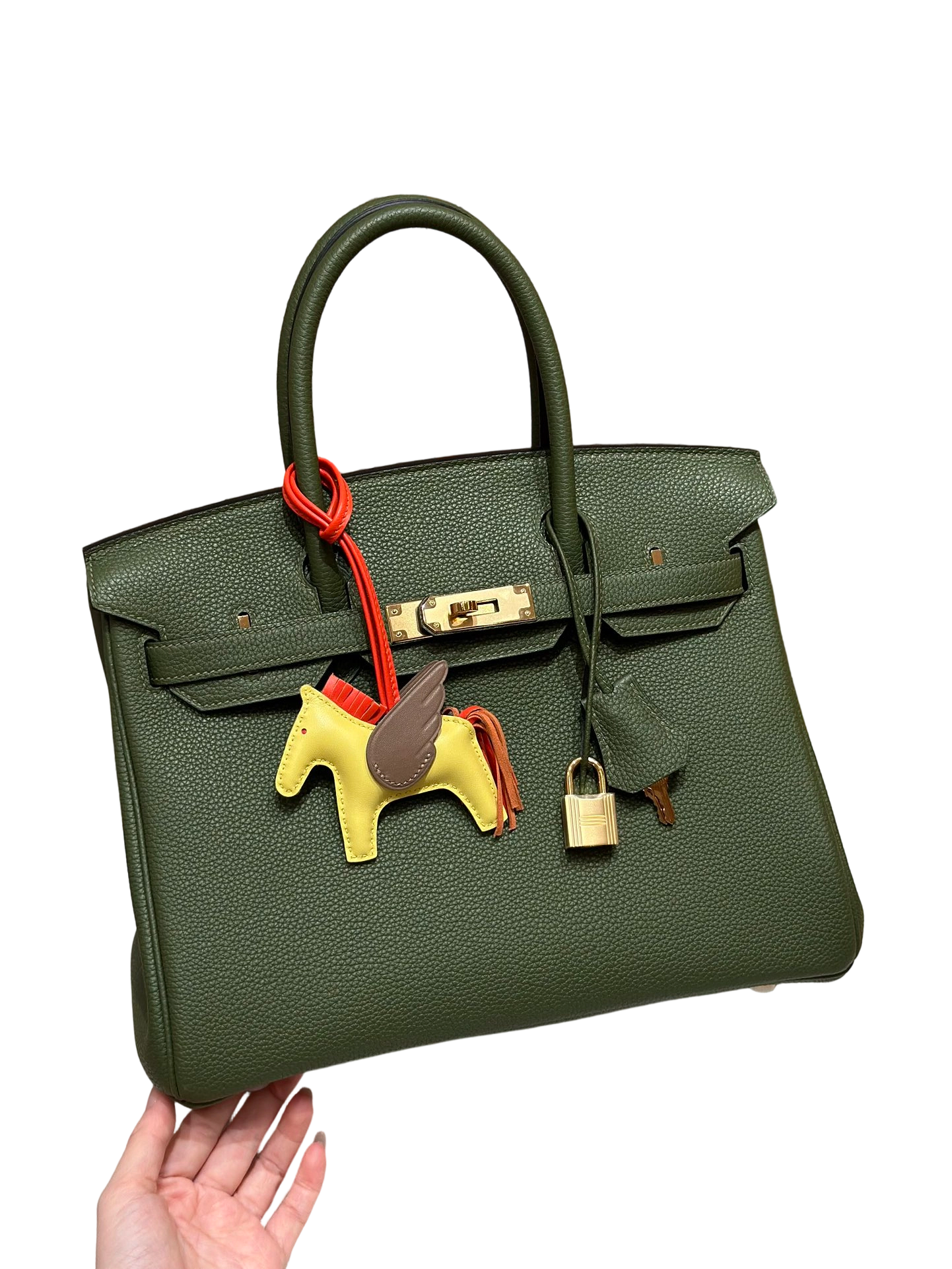 Birkin Togo– Olive Green | Gold-Plated