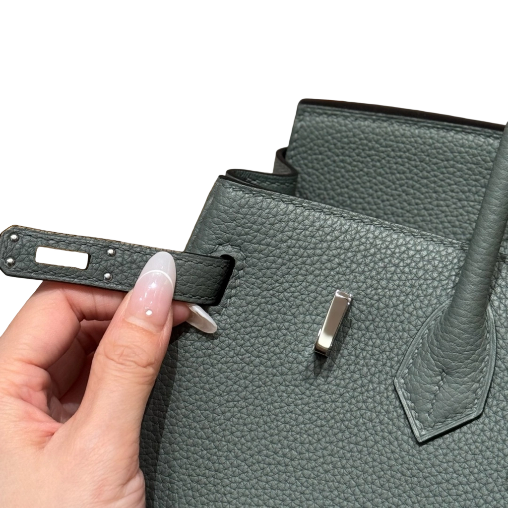 Birkin  Togo – Almond Green | Palladium