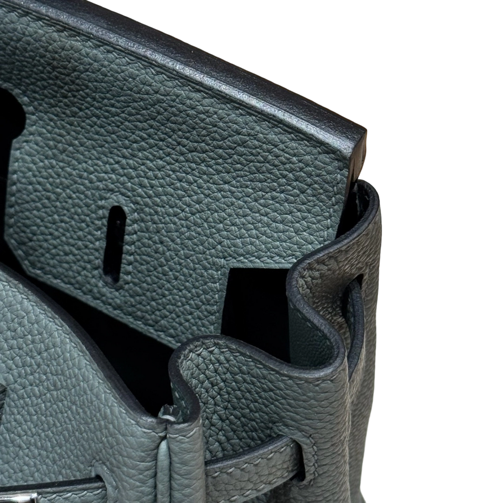 Birkin  Togo – Almond Green | Palladium