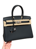 Birkin  Togo – Black | Palladium