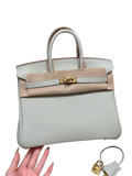 Birkin  Togo – Glacier White | Gold-Plated