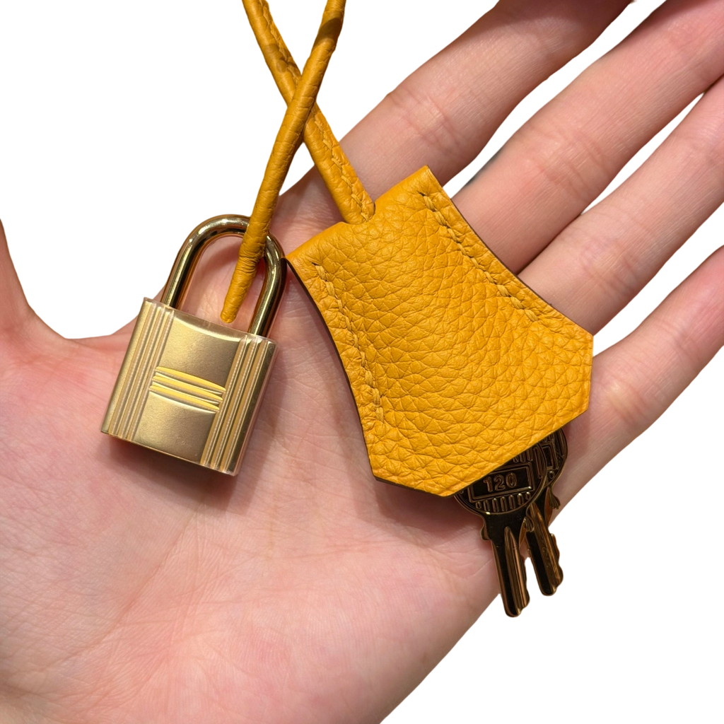 Birkin  Togo – Amber Yellow | Gold-Plated