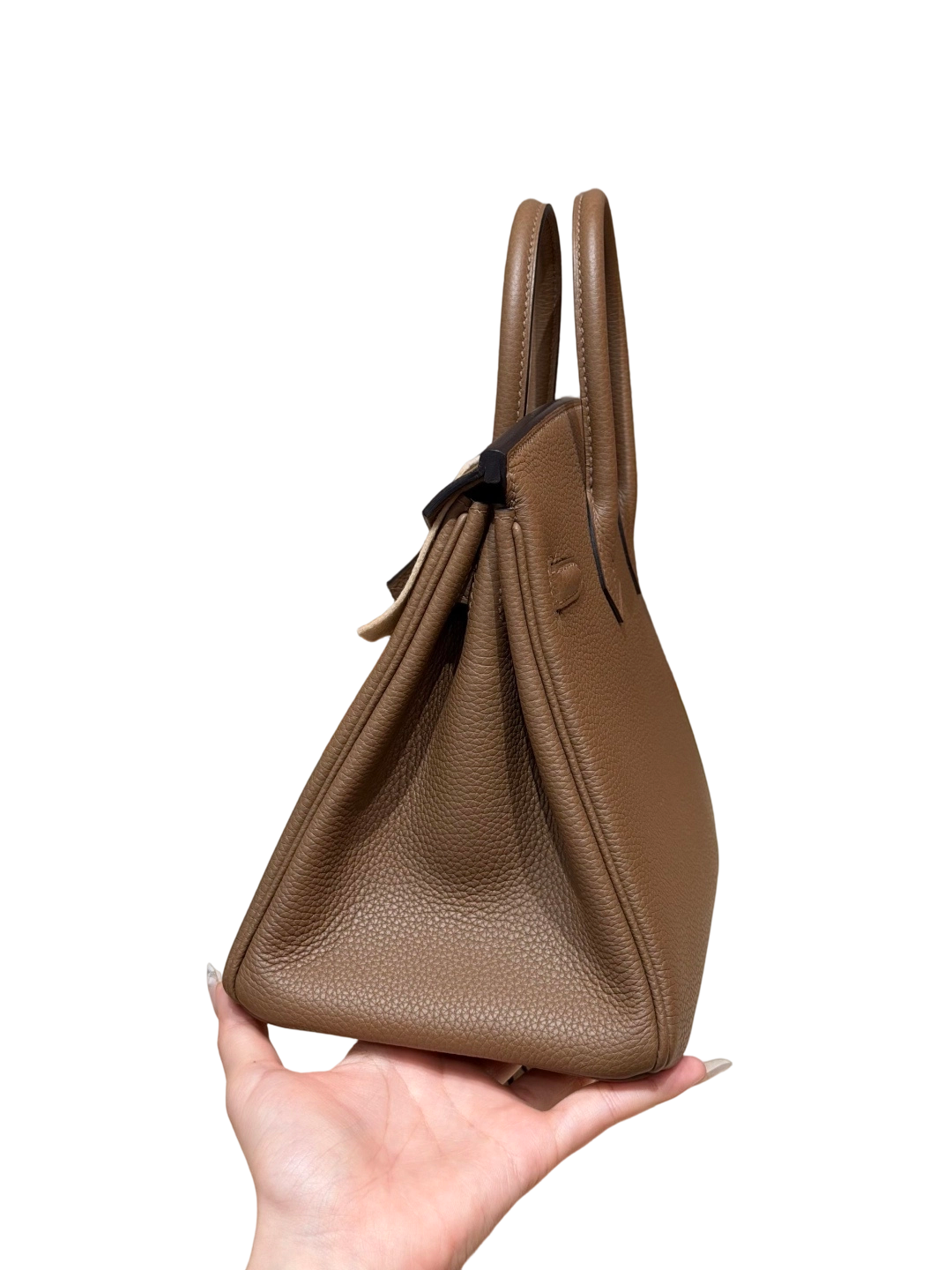 Birkin  Togo  – Weimaraner Beige | Gold-Plated