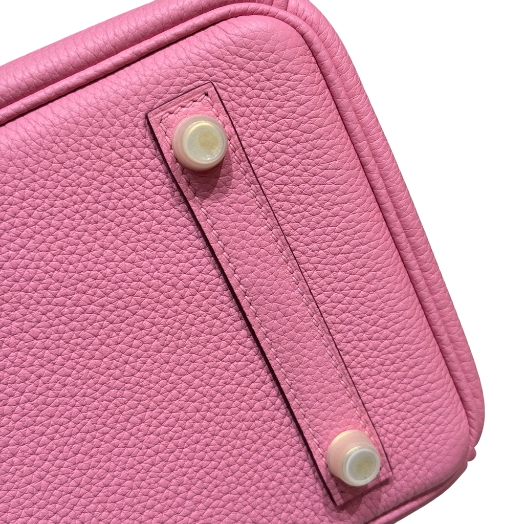 Birkin  Togo – Bubblegum Pink | Gold-Plated
