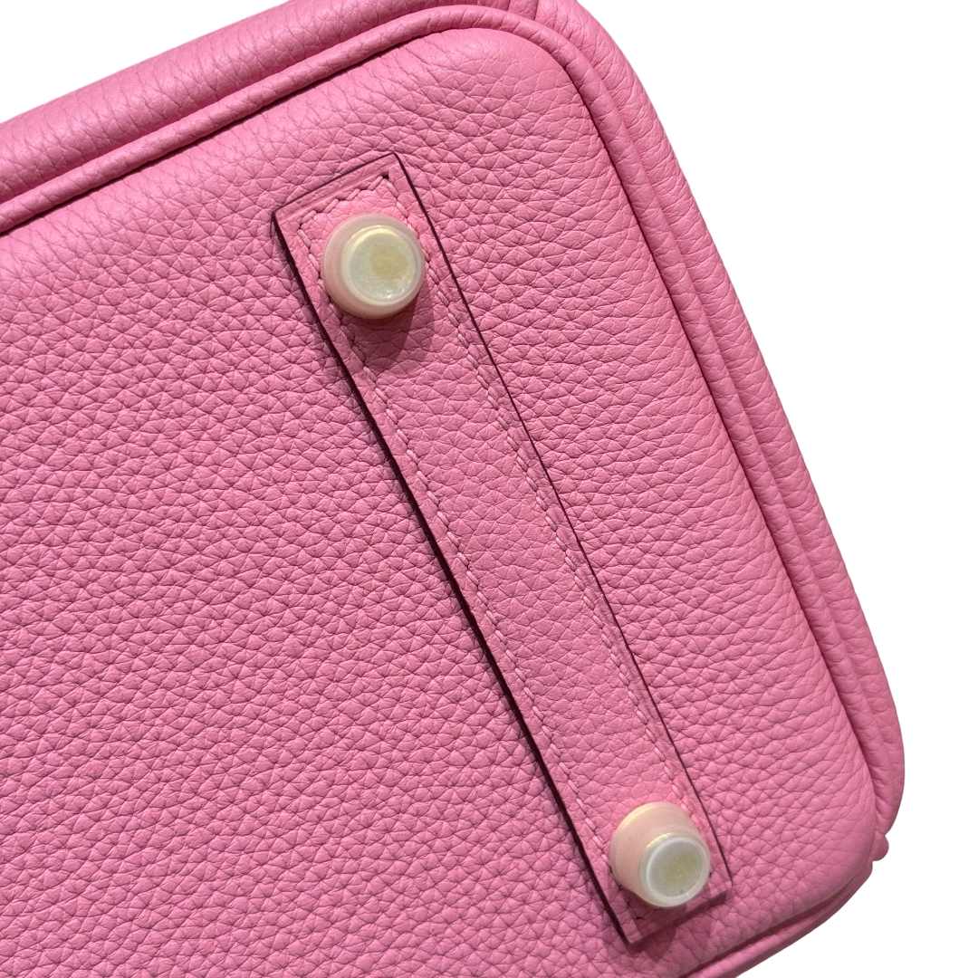 Birkin  Togo – Bubblegum Pink | Gold-Plated