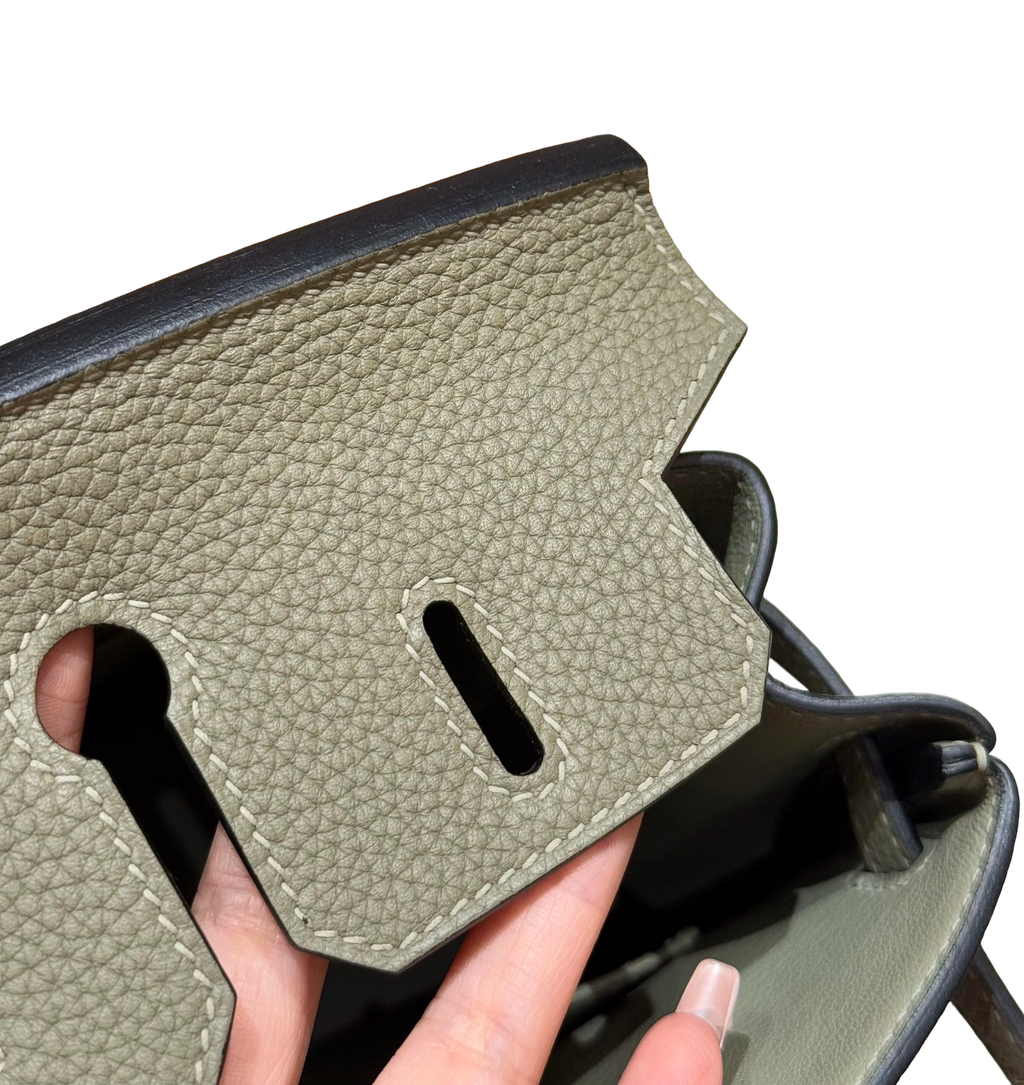 Birkin  Togo – Sage Green | Palladium