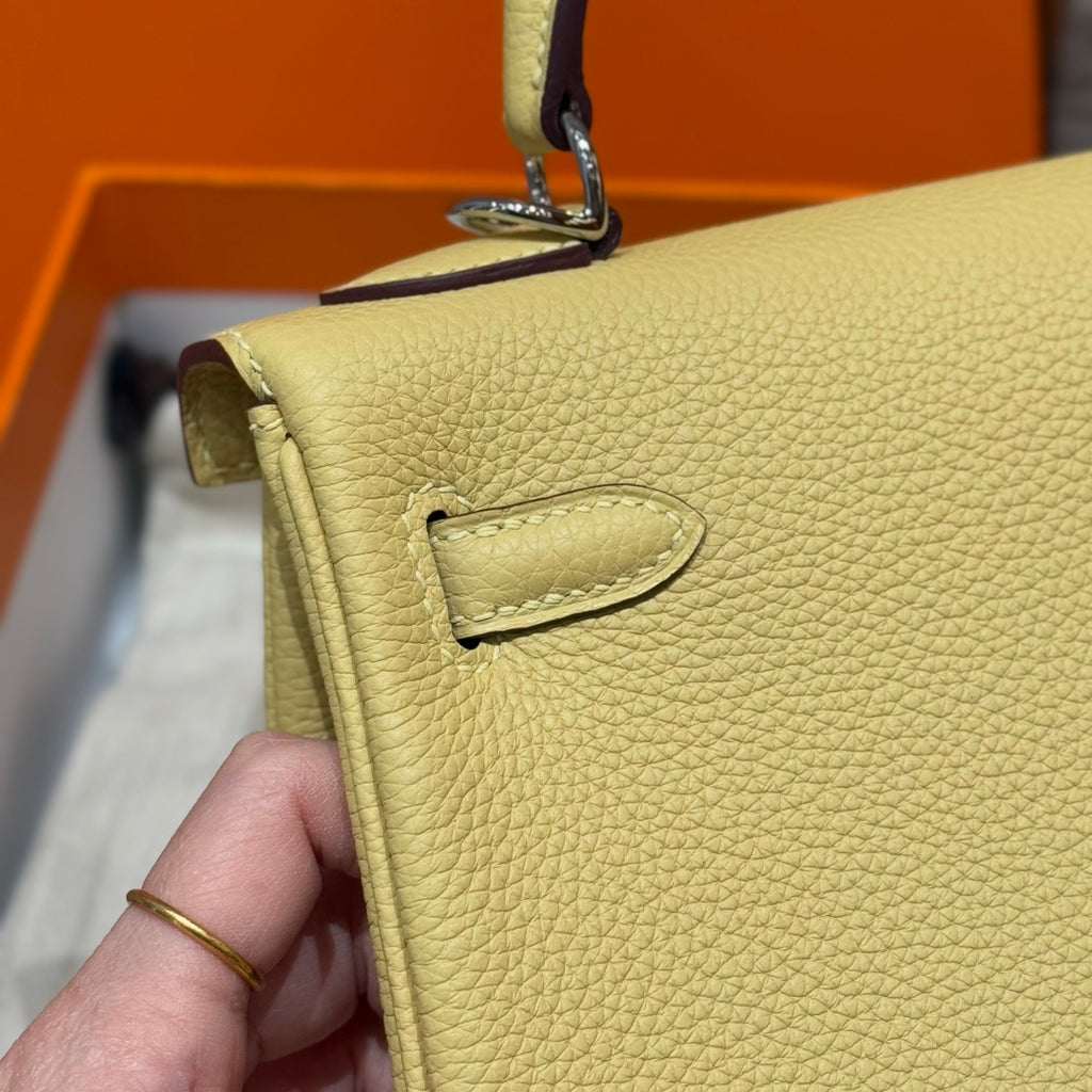 Kelly  Togo – Multicolor Combination | Palladium