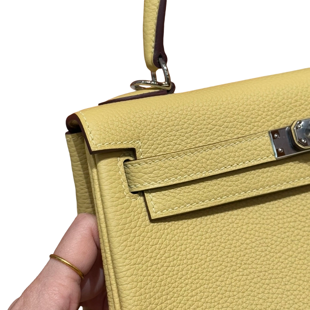 Kelly  Togo – Multicolor Combination | Palladium