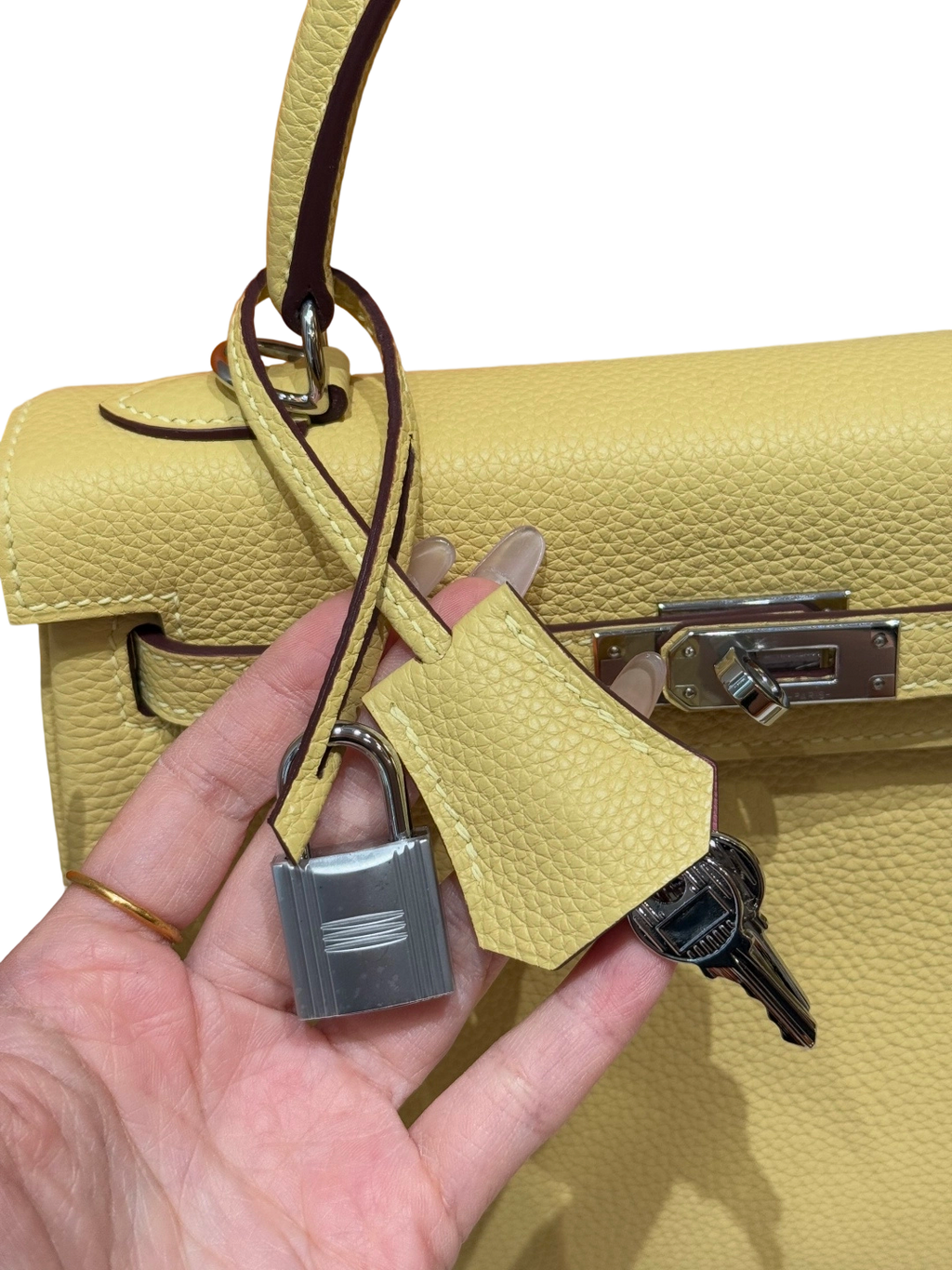 Kelly  Togo – Multicolor Combination | Palladium